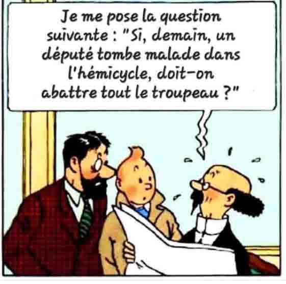 Tintin et les autres..jpg